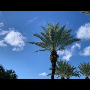 Meet your Posher, Cherie